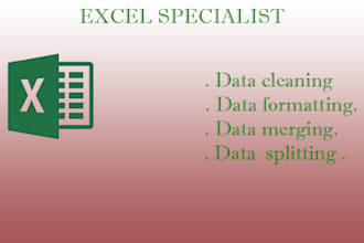 clean, format, merge, split excel data