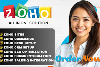 be your zoho expert, integrate zoho crm, zoho books, forms, campaigns, workflows
