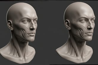 make full realistic 3d bust and full body model