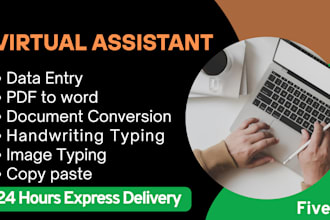 vertual assistant for data entry, PDF to word, typing, and document conversion