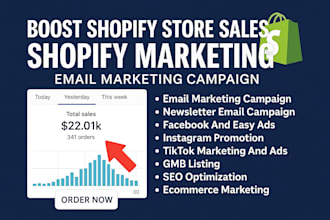 boost shopify etsy stan ebay store ecommerce marketing promotion sales traffic