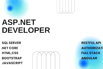 develop custom asp dot net core web portal applications and apis