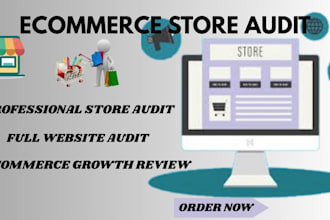 do a professional shopify store audit