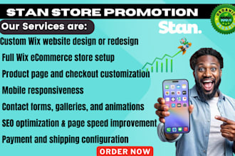 do stan store promotion social media marketing to increase stan store sales