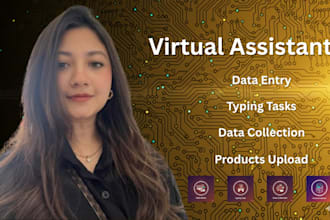 do excel data entry, typing, data mining, copy paste and web research