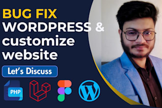 fix issues or customize your wordpress elementor website