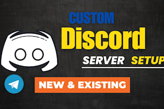 professionally setup a custom discord server for you