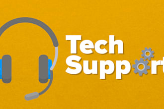 professional technical support and IT assistance