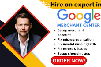 setup, fix google merchant center product feed and create shopping ads