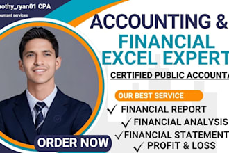 do accounting and finance assignment, financial statement analysis, excel report