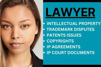 your lawyer in intellectual property, trademark, copyrights and patent disputes