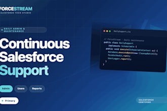 provide ongoing salesforce maintenance and user support