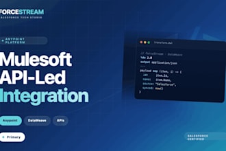 build custom mulesoft integration