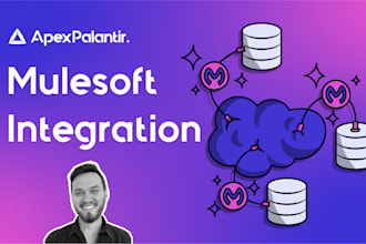 build custom mulesoft integration