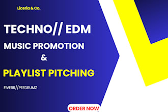 pitch your edm, techno, festival music promotion, and playlist curators