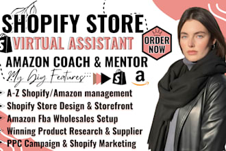 be your ecommerce coach shopify sales mentor va dropshipping manager amazon fba