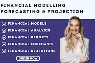 prepare top notch excel financial model, forecasts, budget and projections