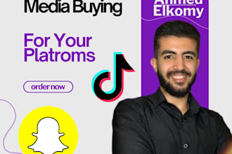 manage your snapchat ads and tiktok ads campaigns to get more sales