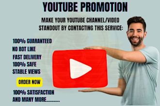 organic youtube video promotion with channel management and rebranding