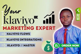 campaign planner, klaviyo flows optimizer, email automation, design expert