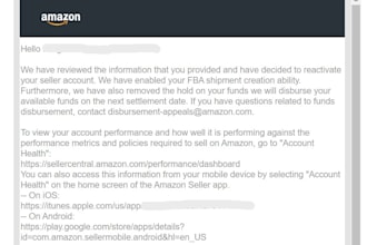 professionally handle amazon case appeals, reinstatements and support issues