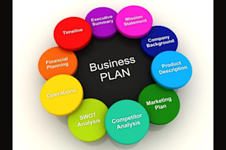 craft a investor ready business plan, financial models and custom excel solution
