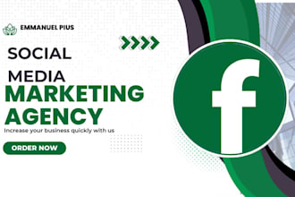 create and monetize facebook business page manage fb ads campaign with fb pixel