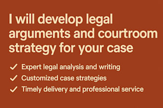 develop legal arguments and courtroom strategy for your case