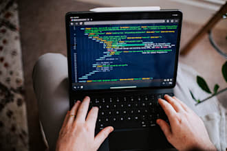it consultant security networks data migration web development