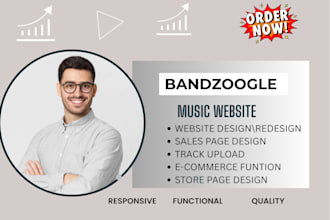 design, redesign bandzoogle website music website design