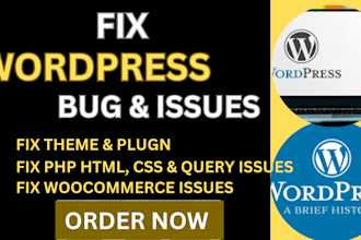do wordpress bug fixing of your website