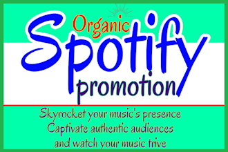 do organic spotify track promotion with music ads campaign