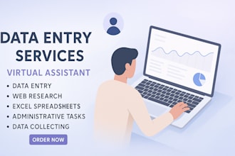 virtual assistant for data entry, data collection, web research and admin tasks