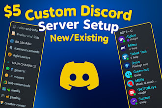 setup custom discord setup with theme, roles, bots and live moderation