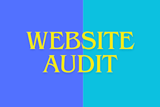 review and audit your business website and plan