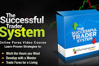 help forex trading mentor for strategies for you