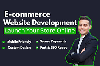 build a professional e commerce and custom websites