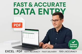 fast and accurate PDF to excel data entry in 24 hours