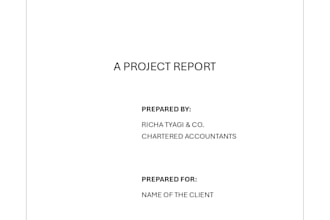 deliver financial project reports for msme, banks, or investors
