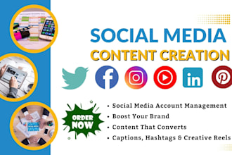 boost your brand with expert social media marketing