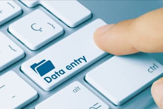 perform data entry tasks with attention to detail and efficiency