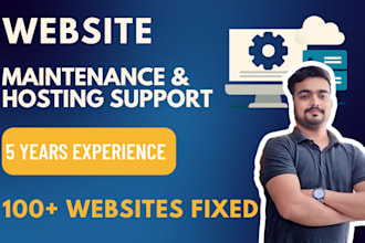 provide website maintenance, hosting support, domain setup, migration, bug fixes