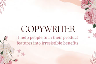 write high converting product descriptions ad copies and landing pages