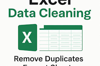 clean, format, and organize your excel spreadsheet professionally