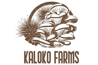 design greatest premium mushroom farms logo