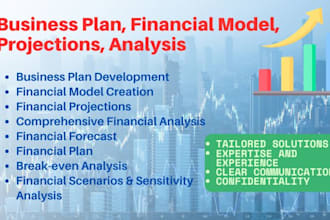 develop a business plan, financial model, projections and analysis