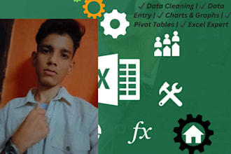 excel graphs, charts, pivot table, data cleaning