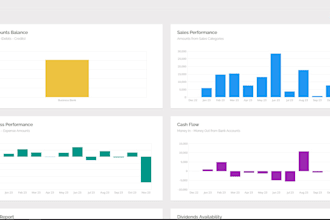 complete bookkeeping and prepare financial statements such as balance sheet, p l
