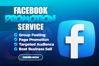 do facebook marketing and page promotion real  audience