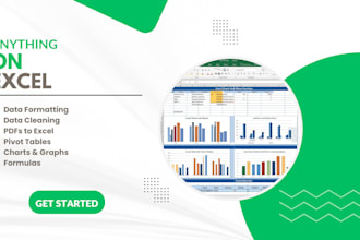 do fast data cleaning formatting convert pdfs pivot tables charts in excel